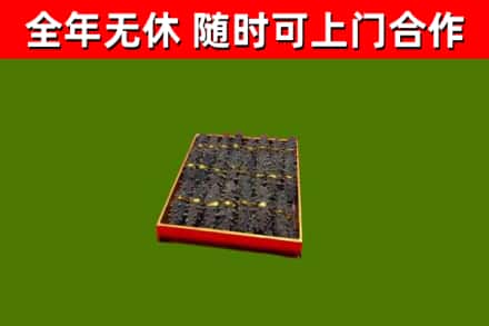 邳州市回收海参